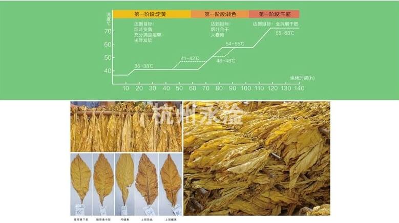 烟叶烘干方案