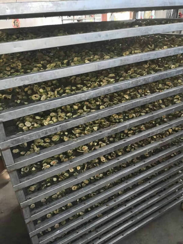苦瓜烘干房
