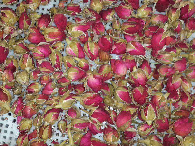 玫瑰花烘干